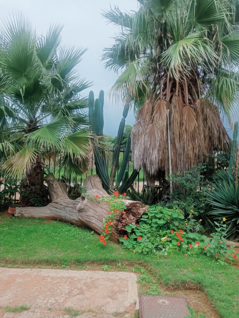 4 Bedroom Property for Sale in Petrusburg Free State